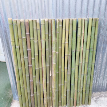 Cerco De Cañas 100 Cm X 100 Cm Bambú Revestimientos Panel Natural