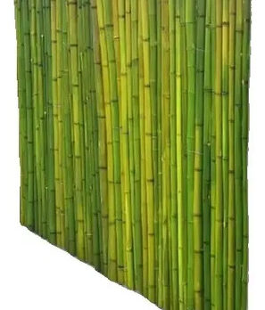 Panel De Caña 2m Altura  Bambu Fit Cerco Perimetral